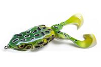 Frogs & Hollow Body