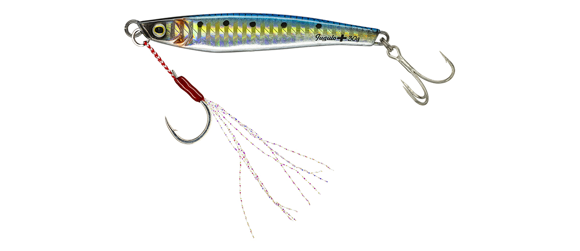 Molix Jugulo Shop Molix