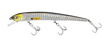 Molix Audace EVO 130SS Molix Audace EVO 130SS