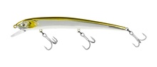 Molix Audace EVO 130SS Molix Audace EVO 130SS