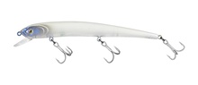 Molix Audace EVO 130SS Molix Audace EVO 130SS