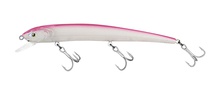 Molix Audace EVO 130SS