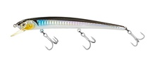 Molix Audace EVO 130SS Molix Audace EVO 130SS