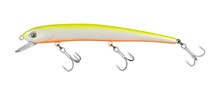 Molix Audace EVO 130SS Molix Audace EVO 130SS