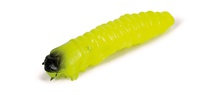 Molix Caimano Worm 1,5" (10 pcs)
