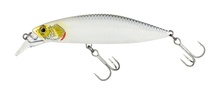 Molix Rolling Minnow 85 FS Molix Rolling Minnow 85 FS