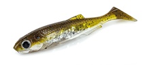 Molix RT Shad 7" BULK (15 pcs) Molix RT Shad 7" BULK (15 pcs)