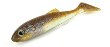 Molix RT Shad 9" BULK (9 pcs) Molix RT Shad 9" BULK (9 pcs)