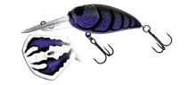 Molix Sculpo DR Silent