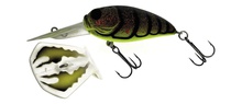 Molix Sculpo DR Silent