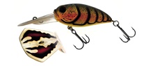 Molix Sculpo DR Silent