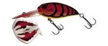 Molix Sculpo DR Silent