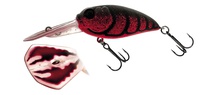 Molix Sculpo DR Silent