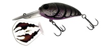 Molix Sculpo DR Silent