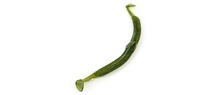 Molix Sneaky Worm 5" (8 pcs) Molix Sneaky Worm 5" (8 pcs)