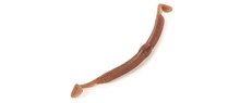 Molix Sneaky Worm 5" (8 pcs) Molix Sneaky Worm 5" (8 pcs)