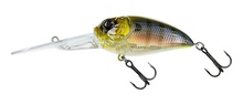 Molix Sculpo XD R Rattlin'