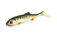 Soft Baits